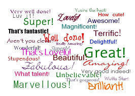 Teacher Feedback / Comments on Assigned Work