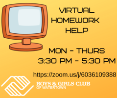 Virtual Homework Help
